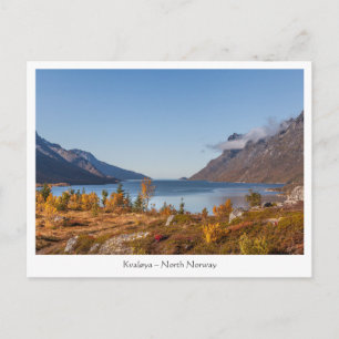 Postal Isla Kvaloya Noruega
