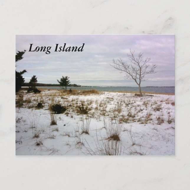 Postal Isla Long Island-Shelter (Anverso)