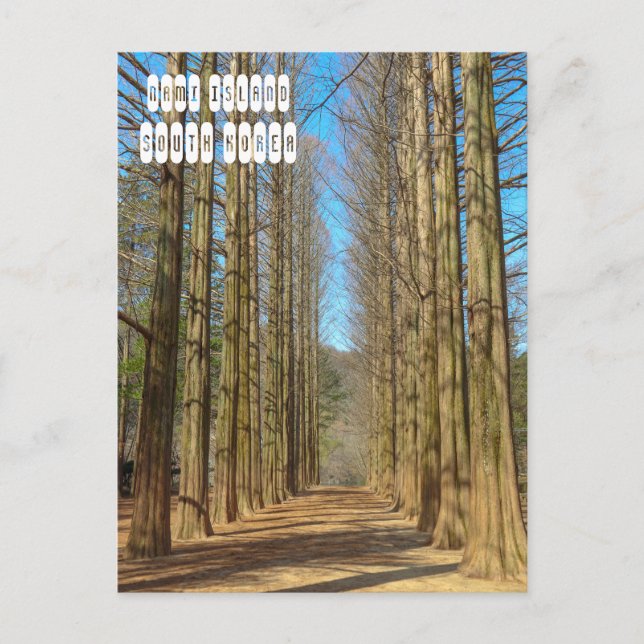 Postal Isla Nami (Anverso)