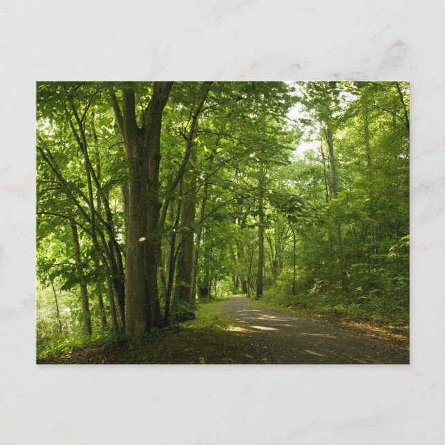 Postal Isla Osceloa Represa de Bristol Tennessee (Anverso)