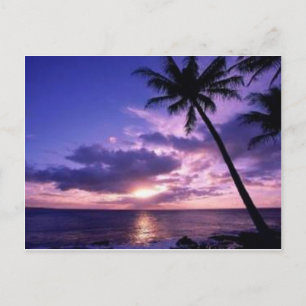 Postal Isla Paradise