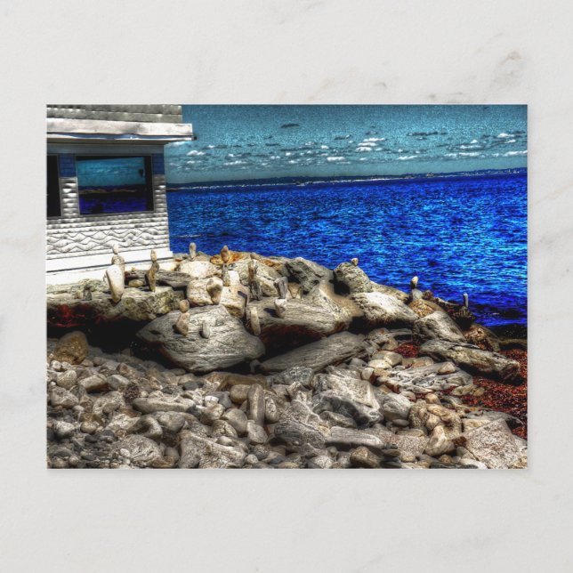 Postal Isla Rhode, Narragansett Picture (Anverso)