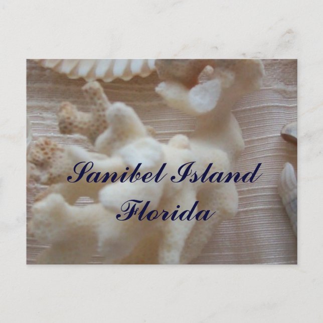 Postal Isla Sanibel (Anverso)