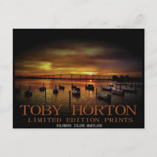 Postal Isla Solomons Maryland