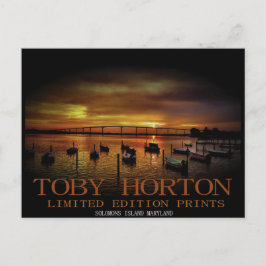 Postal Isla Solomons Maryland