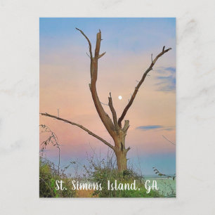 Postal Isla St. Simons, GA East Beach Sunset