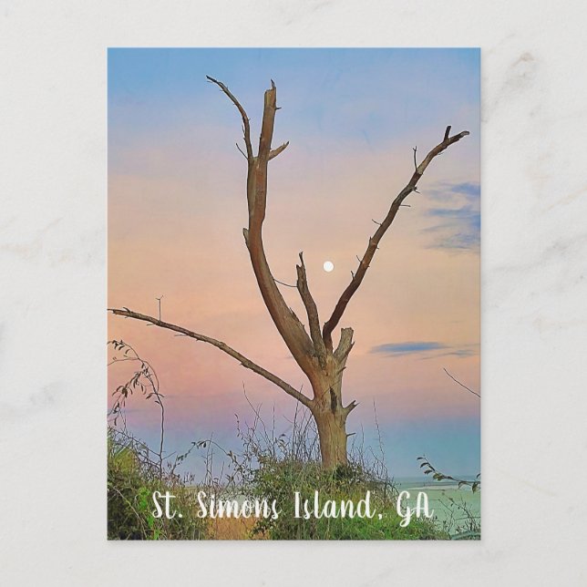 Postal Isla St. Simons, GA East Beach Sunset (Anverso)