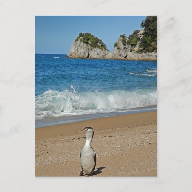 Postal Isla Sur de Nueva Zelanda (Anverso)