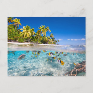 Postal Isla tropical bajo y por encima del agua