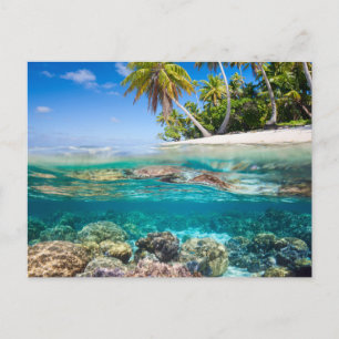 Postal Isla tropical bajo y por encima del agua