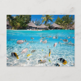 Postal Isla tropical bajo y por encima del agua