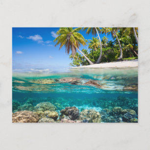 Postal Isla tropical bajo y por encima del agua