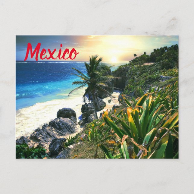 Postal Isla Tropical México Beach Shore Sunset Palm Islan (Anverso)