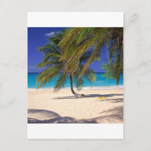 Postal Isla Tropical Siete Millas de Gran Caimán
