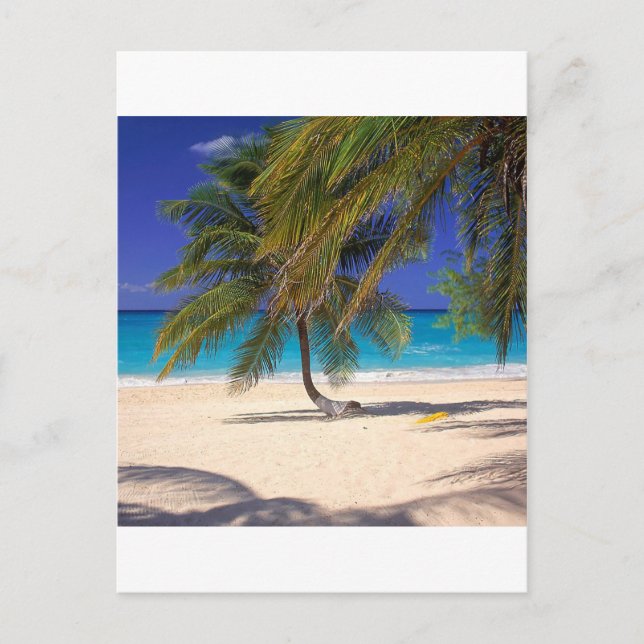 Postal Isla Tropical Siete Millas de Gran Caimán (Anverso)