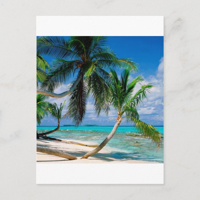 Postal Isla tropical Tepuka Tuvalu (Anverso)