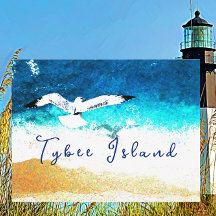 Isla Tybee: Gaviota georgiana en llamas por la pla