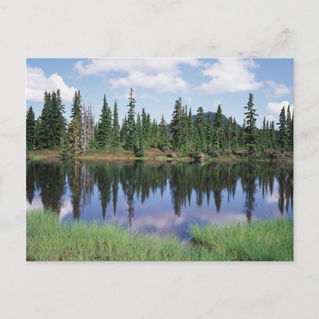 Postal Isla Vancouver, Parque Provincial Strathcona 2 (Anverso)