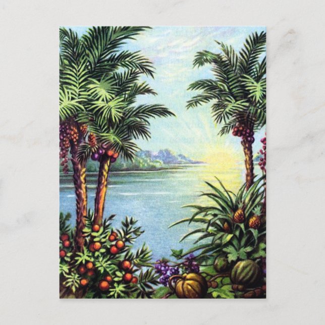 Postal Isla Vintage (Anverso)