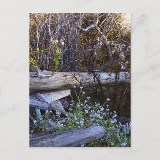 Postal Isla Whidbey 1