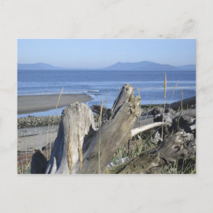 Postal Isla Whidbey 4