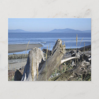 Postal Isla Whidbey 4