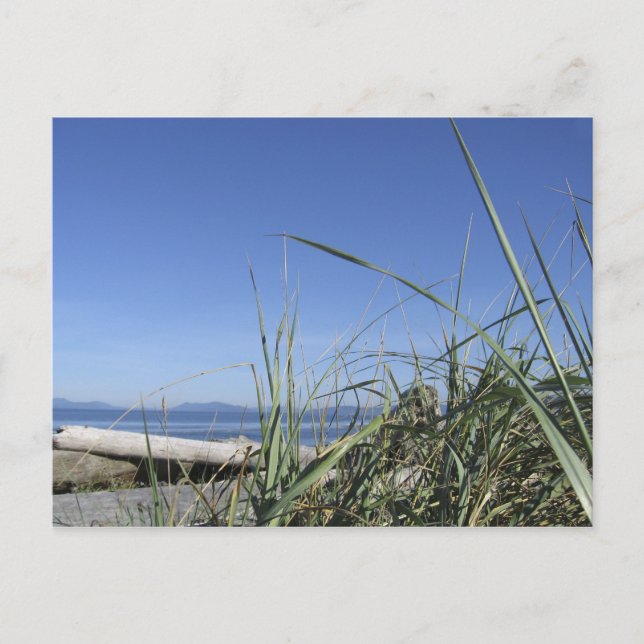 Postal Isla Whidbey 5 (Anverso)