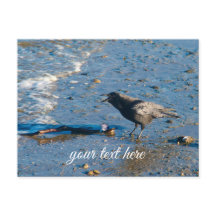 Isla Whidbey Washington Playa del Cuervo Arte Tarj
