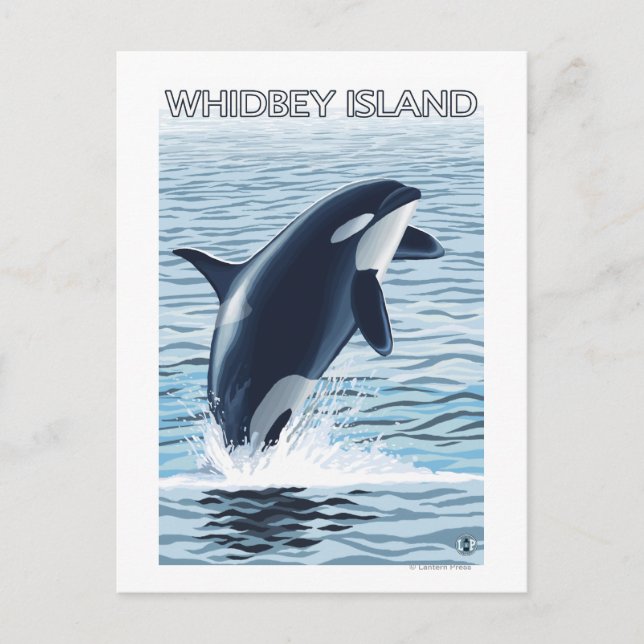 Postal Isla Whidbey, WashingtonOrca Saltando (Anverso)