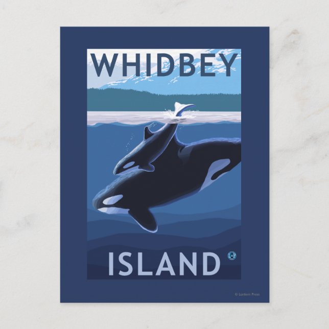 Postal Isla Whidbey, WashingtonOrca y Calf (Anverso)