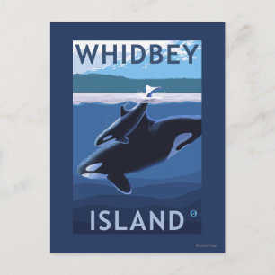 Postal Isla Whidbey, WashingtonOrca y Calf