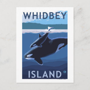 Postal Isla Whidbey, WashingtonOrca y Calf