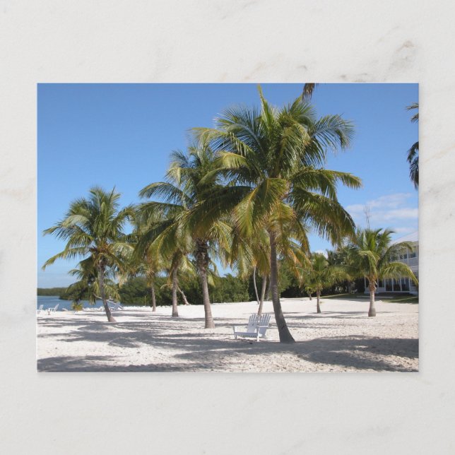 Postal Islamorada Florida Beach (Anverso)