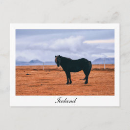 Postal islandesa negra y icónica