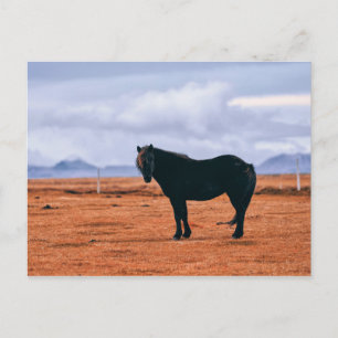 Postal islandesa negra y icónica
