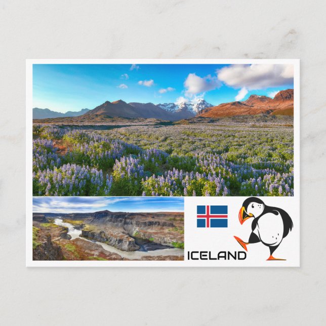 Postal Islandia (Anverso)