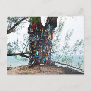 Postal Islas Caimán : árbol de zapatos por océano