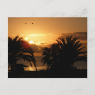 Postal Islas Canarias Tropicales amanecer RIU