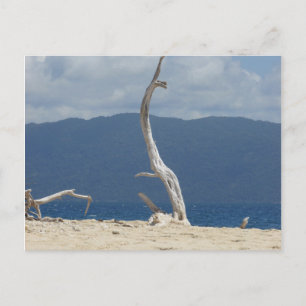 Postal Islas Frankland - Postcard de Australia