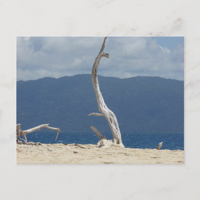 Postal Islas Frankland - Postcard de Australia (Anverso)