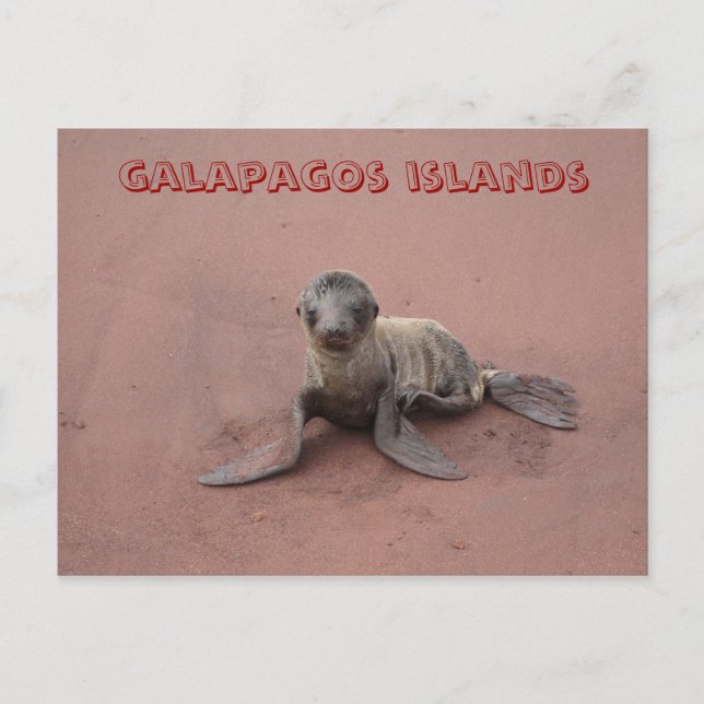 Postal islas galápagos (Anverso)