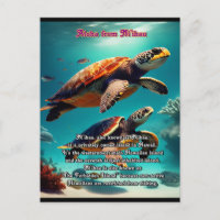 Islas hawaianas Niihau Aloha