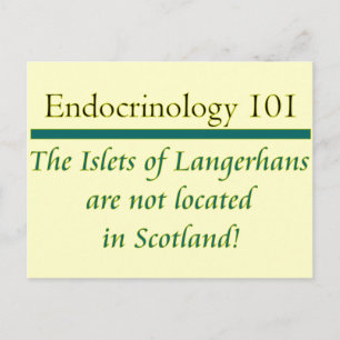 Postal Islas Langerhans