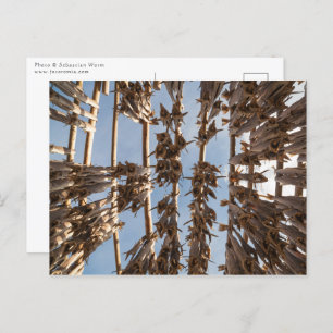 Postal Islas Lofoten Noruega