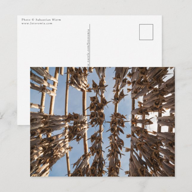 Postal Islas Lofoten Noruega (Anverso / Reverso)