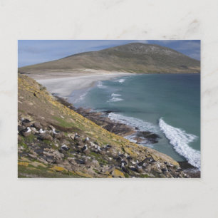 Postal Islas Malvinas, Malvinas Occidentales, Saunders