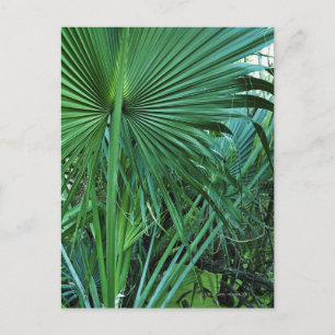 Postal Islas Vírgenes de los Estados Unidos, Santo Tomás,