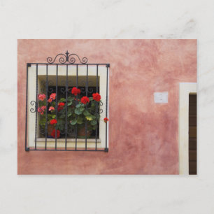 Postal Italia, Asciano, cajas de ventana con primavera fr