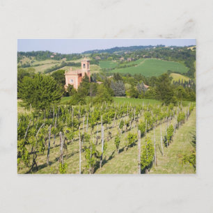Postal Italia, Bolonia, visión a través del viñedo a