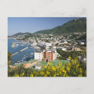 Postal ITALIA, Campania, (Bahía de Nápoles), ISCHIA, LACC